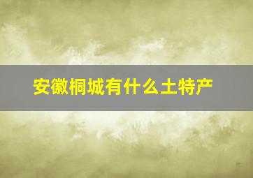 安徽桐城有什么土特产