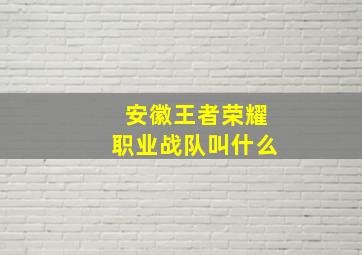 安徽王者荣耀职业战队叫什么