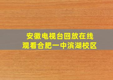 安徽电视台回放在线观看合肥一中滨湖校区