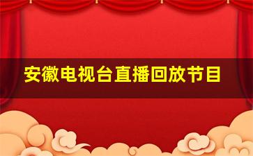 安徽电视台直播回放节目