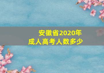 安徽省2020年成人高考人数多少