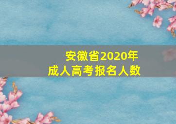 安徽省2020年成人高考报名人数