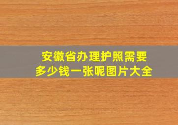 安徽省办理护照需要多少钱一张呢图片大全