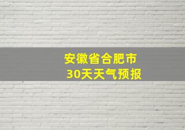 安徽省合肥市30天天气预报