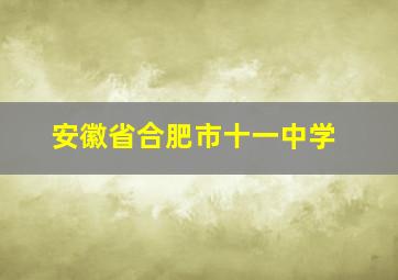 安徽省合肥市十一中学