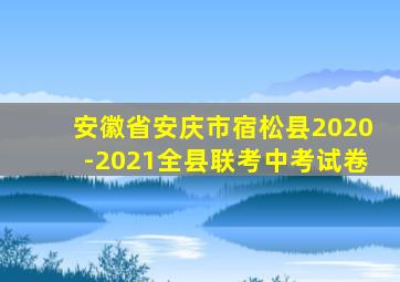 安徽省安庆市宿松县2020-2021全县联考中考试卷