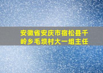 安徽省安庆市宿松县千岭乡毛坝村大一组主任