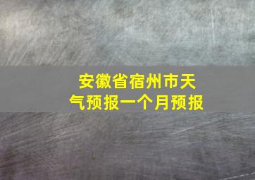 安徽省宿州市天气预报一个月预报