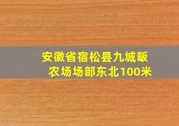 安徽省宿松县九城畈农场场部东北100米