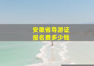 安徽省导游证报名费多少钱