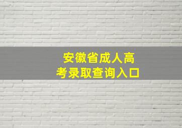 安徽省成人高考录取查询入口