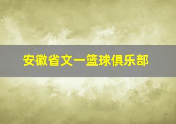 安徽省文一篮球俱乐部