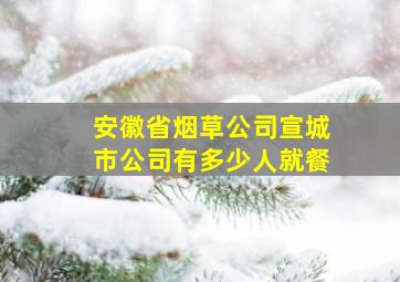 安徽省烟草公司宣城市公司有多少人就餐