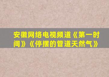 安徽网络电视频道《第一时间》《停摆的管道天然气》