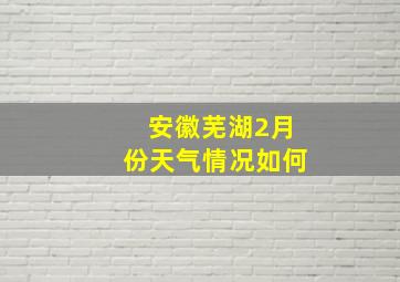 安徽芜湖2月份天气情况如何