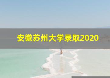 安徽苏州大学录取2020