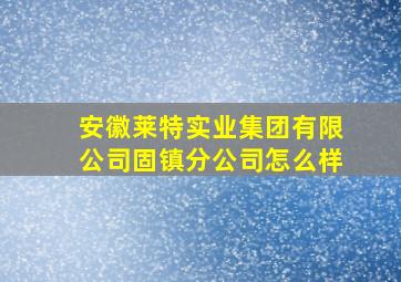 安徽莱特实业集团有限公司固镇分公司怎么样