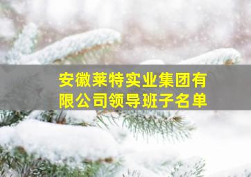 安徽莱特实业集团有限公司领导班子名单