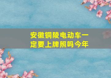 安徽铜陵电动车一定要上牌照吗今年