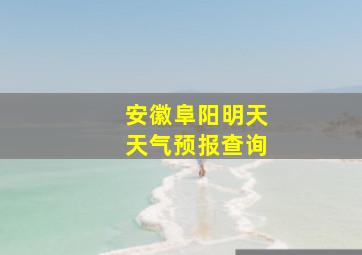 安徽阜阳明天天气预报查询