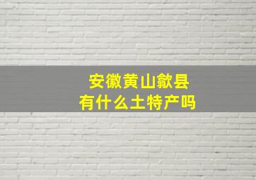 安徽黄山歙县有什么土特产吗