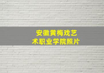 安徽黄梅戏艺术职业学院照片