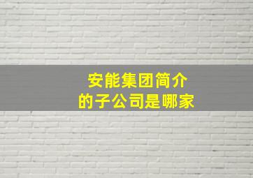 安能集团简介的子公司是哪家