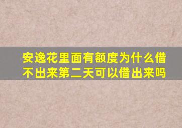 安逸花里面有额度为什么借不出来第二天可以借出来吗