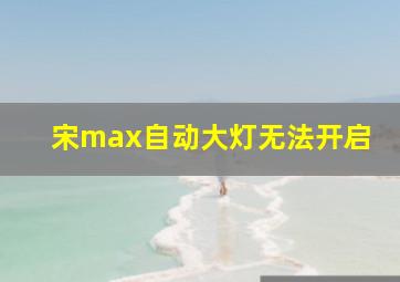 宋max自动大灯无法开启