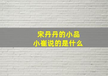 宋丹丹的小品小崔说的是什么