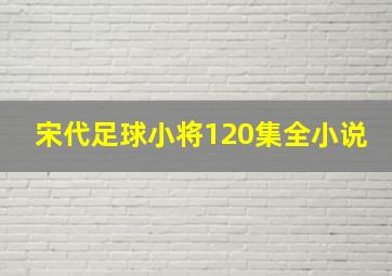 宋代足球小将120集全小说