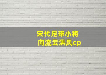 宋代足球小将向流云洪风cp