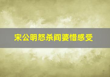 宋公明怒杀阎婆惜感受