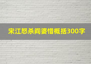 宋江怒杀阎婆惜概括300字