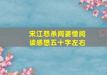 宋江怒杀阎婆惜阅读感想五十字左右