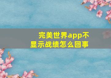 完美世界app不显示战绩怎么回事