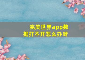 完美世界app数据打不开怎么办呀