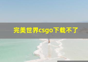 完美世界csgo下载不了