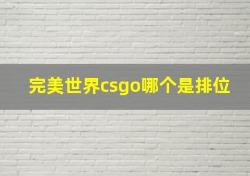 完美世界csgo哪个是排位