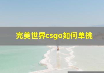 完美世界csgo如何单挑