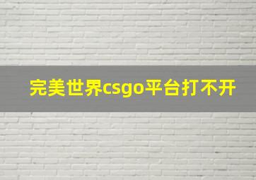 完美世界csgo平台打不开