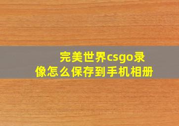 完美世界csgo录像怎么保存到手机相册