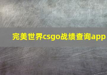 完美世界csgo战绩查询app