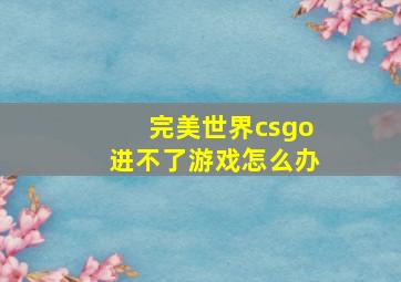 完美世界csgo进不了游戏怎么办