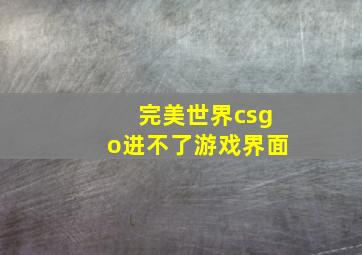 完美世界csgo进不了游戏界面