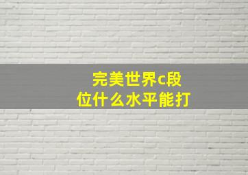 完美世界c段位什么水平能打