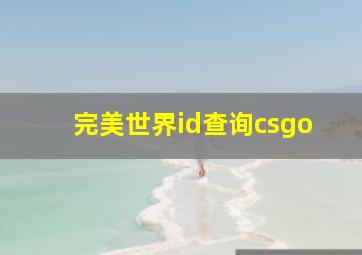 完美世界id查询csgo