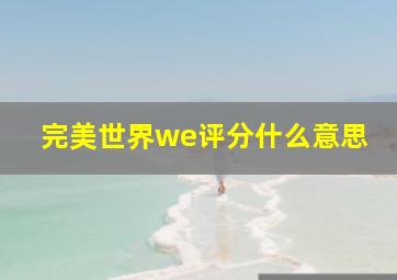 完美世界we评分什么意思