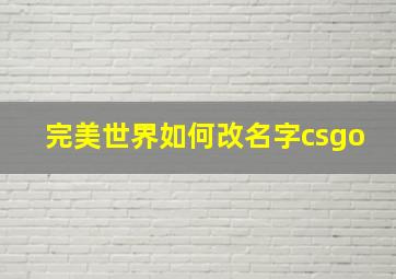 完美世界如何改名字csgo