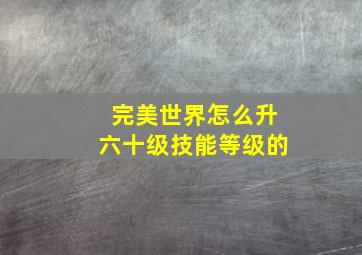 完美世界怎么升六十级技能等级的